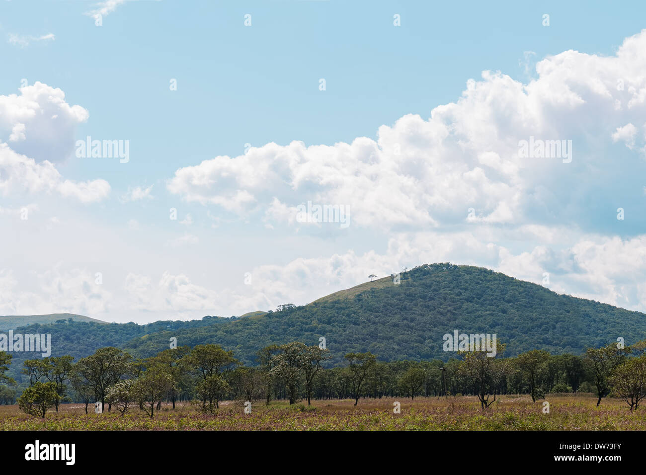 Blick auf Golf Küste von Peter dem großen. Wladiwostok. Russland. Stockfoto