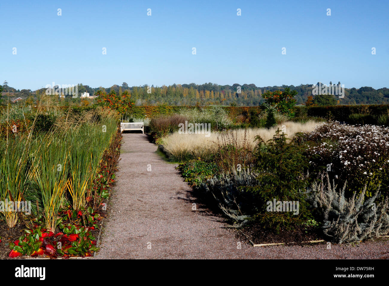 ABGESCHIEDENER GARTENSITZ ZWISCHEN HERBSTLICHEN GRENZEN. RHS HYDE HALL Stockfoto