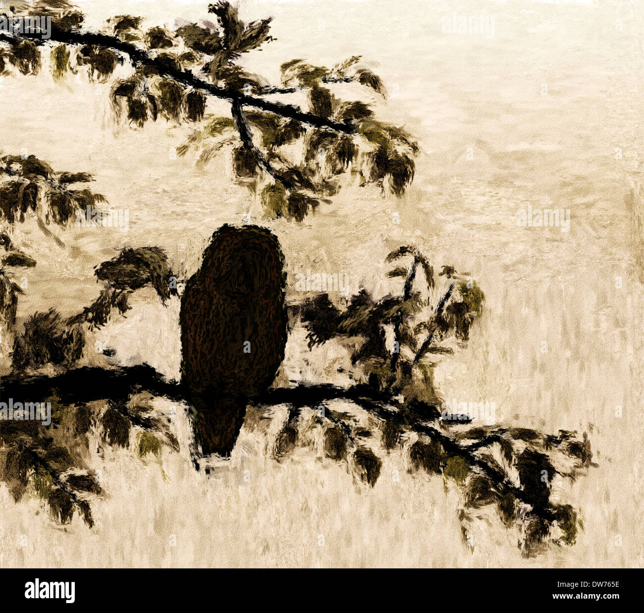 Gemälde von einer Eule Silhouette Schlafplatz in einem Baum Stockfoto