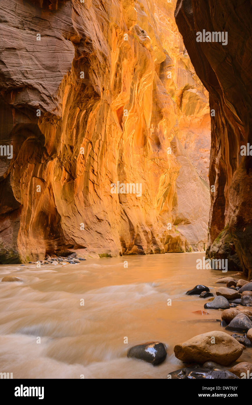 Virgin River Narrows, Zion Nationalpark, Utah, USA Stockfoto