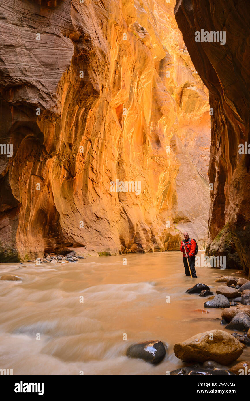 Virgin River Narrows, Zion Nationalpark, Utah, USA Stockfoto