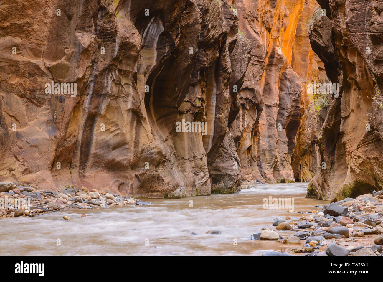 Virgin River Narrows, Zion Nationalpark, Utah, USA Stockfoto