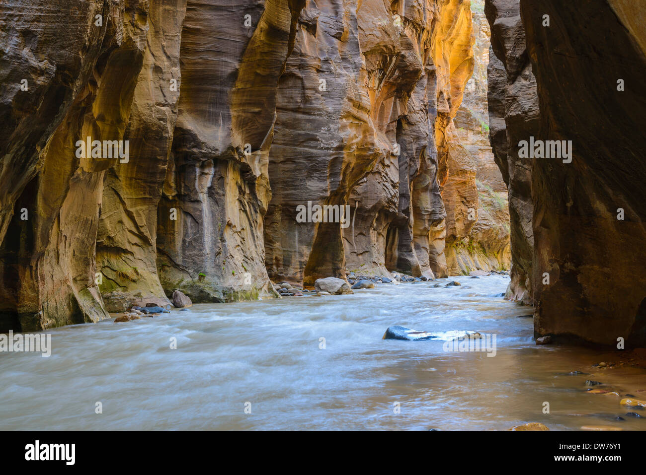 Virgin River Narrows, Zion Nationalpark, Utah, USA Stockfoto
