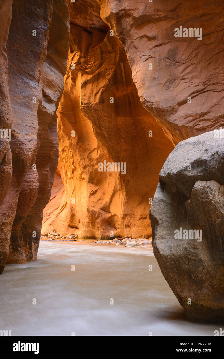 Virgin River Narrows, Zion Nationalpark, Utah, USA Stockfoto