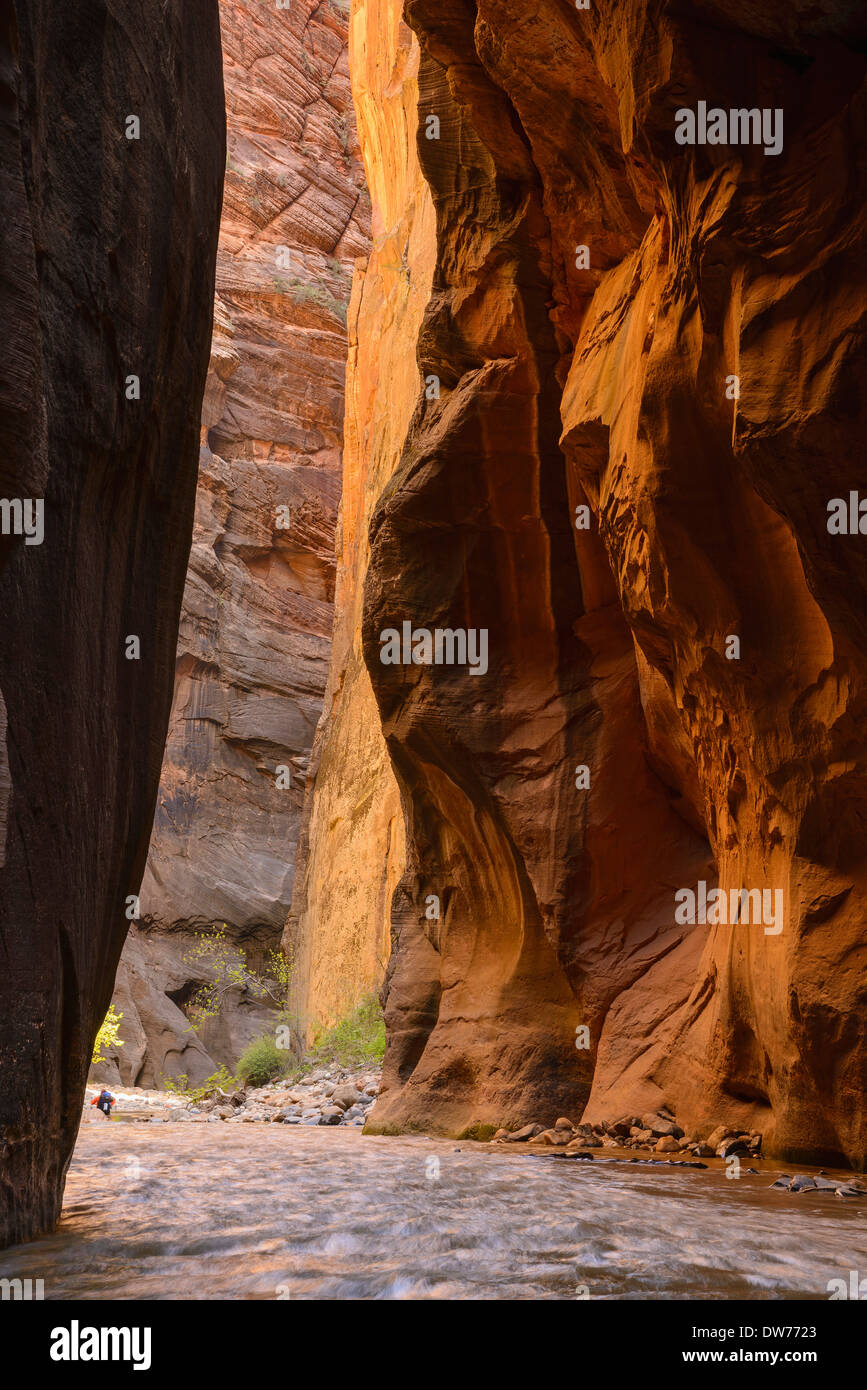 Virgin River Narrows, Zion Nationalpark, Utah, USA Stockfoto