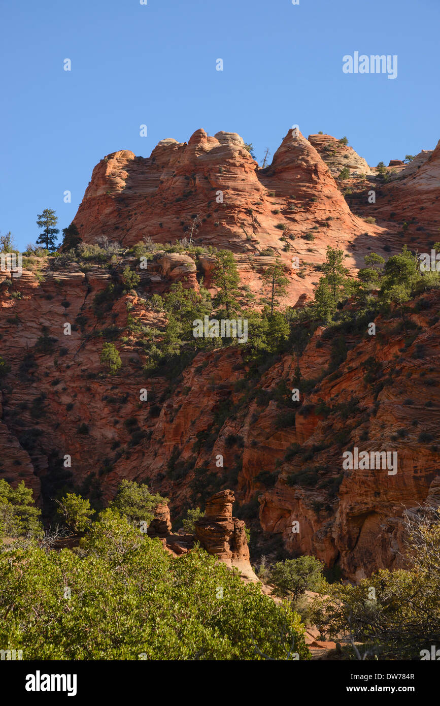 Zion Plateau, östlichen Abschnitt der Zion Nationalpark, Utah, USA Stockfoto