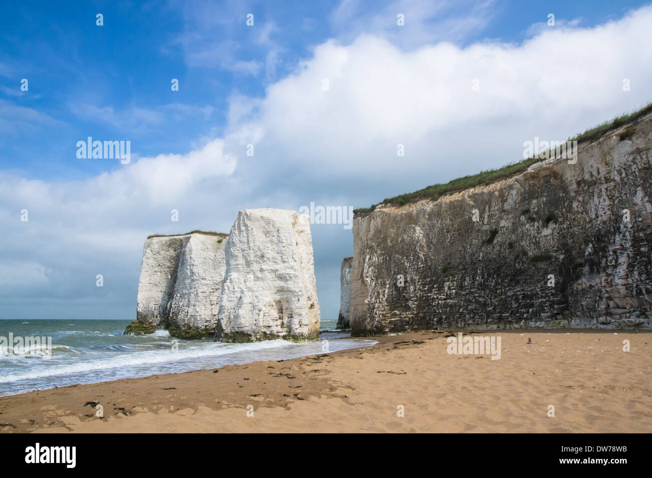 Kreidefelsen in Botany Bay Beach an Broadstairs Kent England Vereinigtes Königreich UK Stockfoto