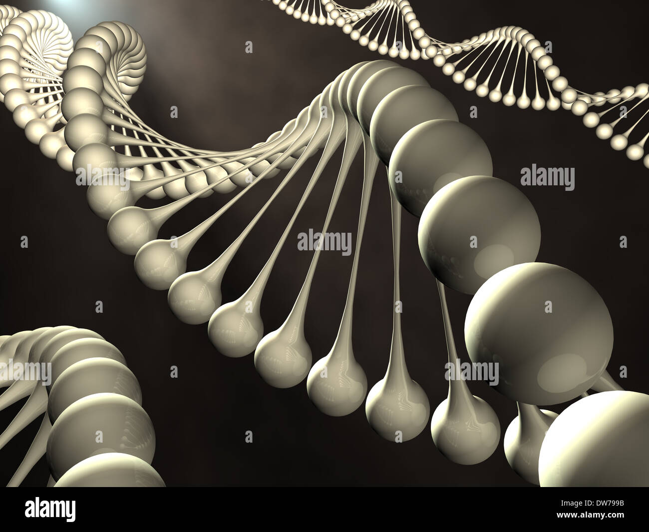 Eine symbolische menschliche DNA-Molekül Modell, desoxyribonukleinsäure - genetische Forschung. 3D-Grafiken dargestellt. Stockfoto