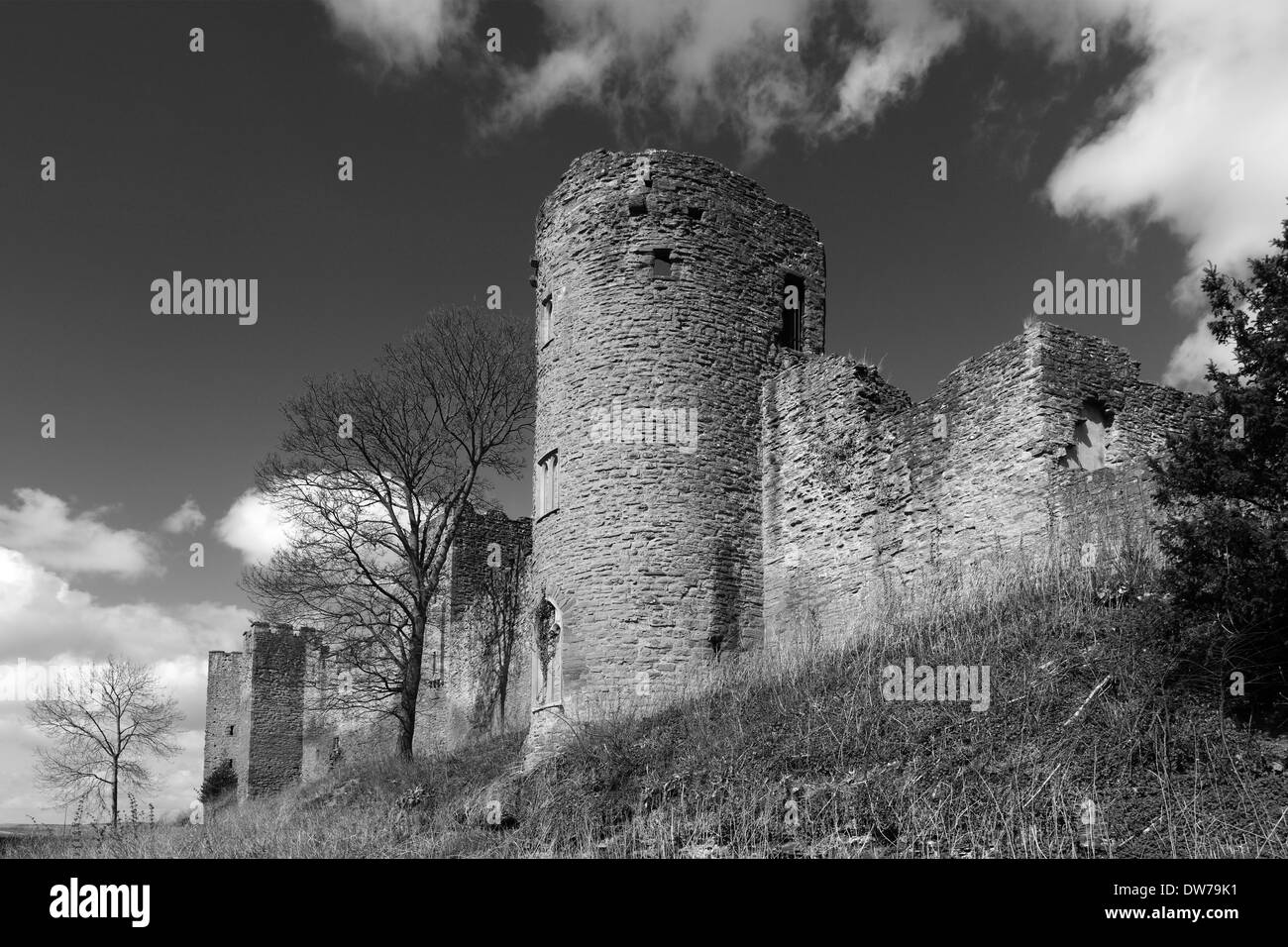 Frühling, Ludlow Castle, Ludlow Stadt, Grafschaft Shropshire, England, UK Stockfoto
