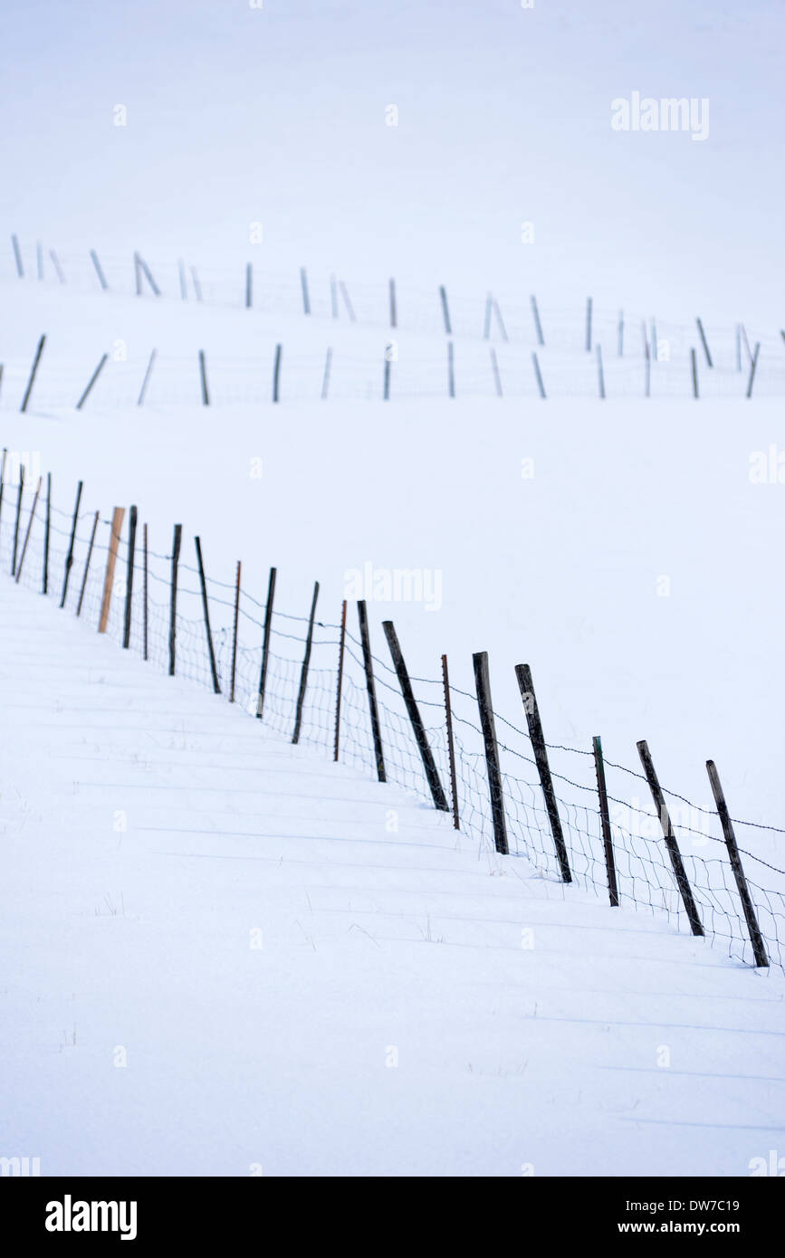 Zaunlinie auf Oregons Zumwalt Prairie. Stockfoto