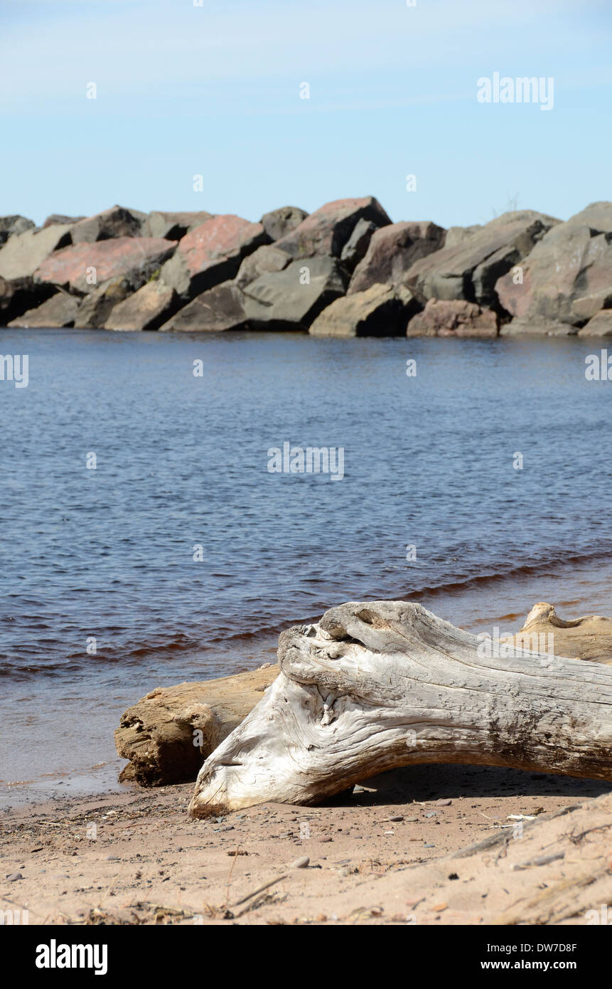 Treibholz angeschwemmt aus Lake Superior im Hafen von Black River, Bessemer, Michigan Stockfoto