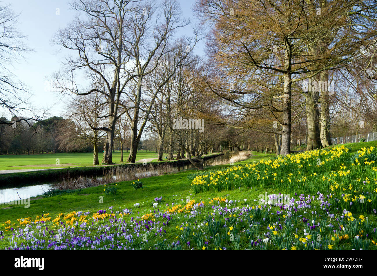 Feeder-Kanal Bute Park Cardiff, Wales, UK. Stockfoto