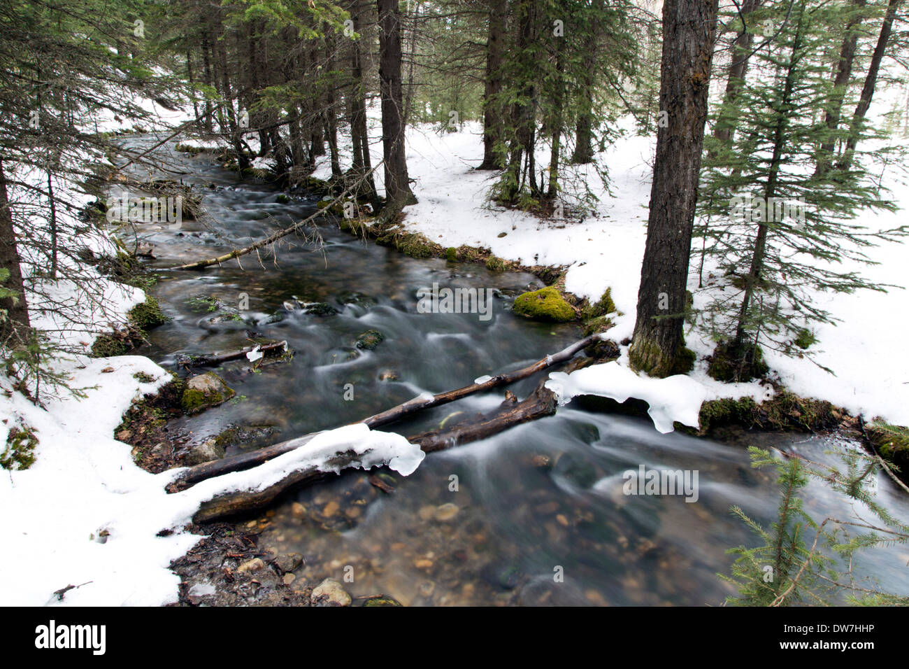 Ein Fluß im Winter im Big Hill Springs Provincial Park in Alberta Stockfoto