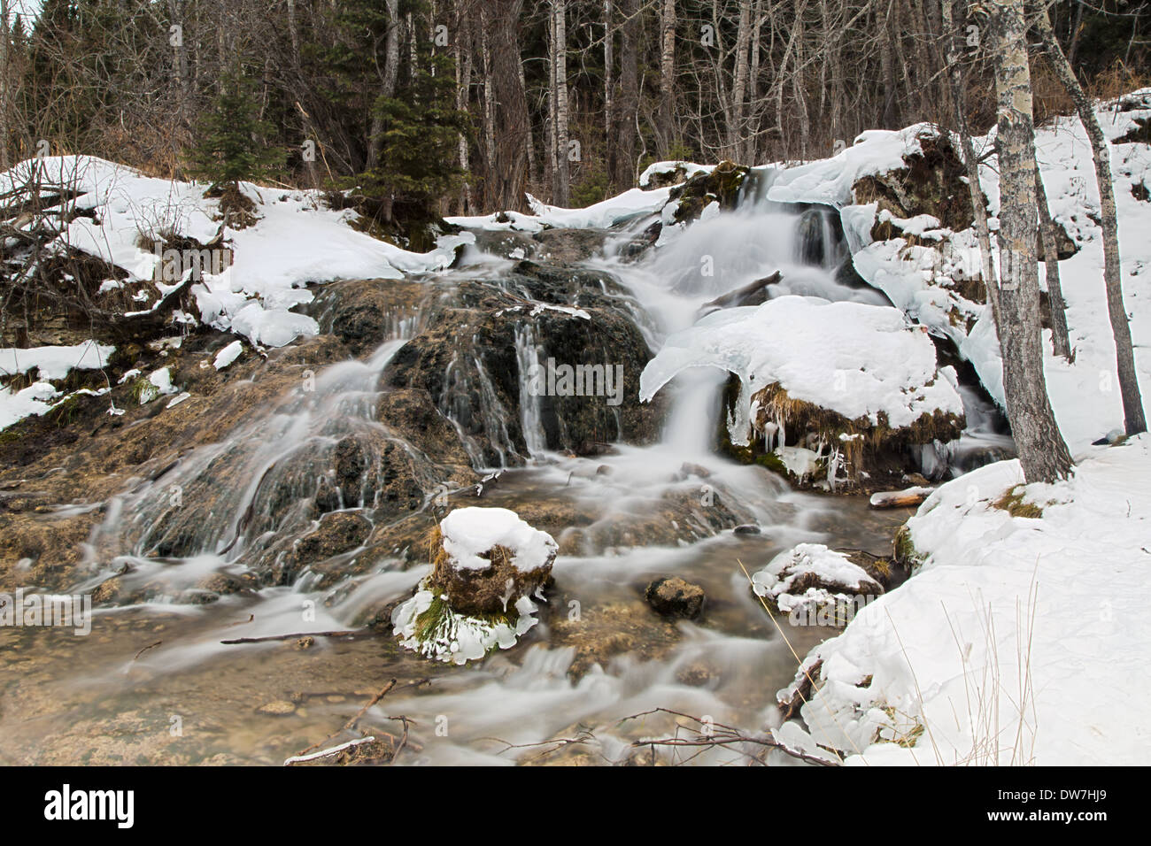 Winter-Wasserfall in Big Hill Springs Park, Alberta, Kanada Stockfoto