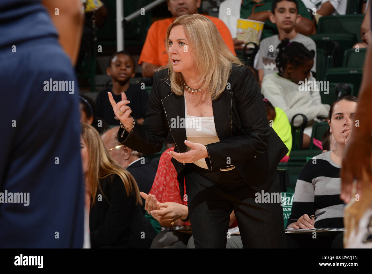 2. März 2014: Headcoach Suzie McConnell-Serio von Pittsburgh in Aktion während der NCAA Basketball-Spiel zwischen den Miami Hurricanes und den Pittsburgh Panthers im Bank United Center in Coral Gables, FL. Die Hurricanes besiegten die Panthers 67-54. Stockfoto