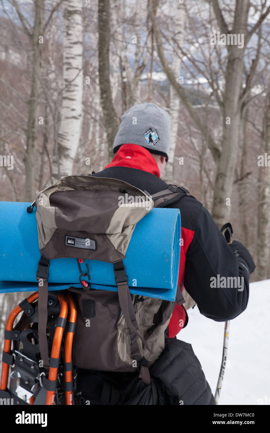 Winterwanderer geht auf einem schneebedeckten Weg am Mount Greylock, Adams, MA. Stockfoto