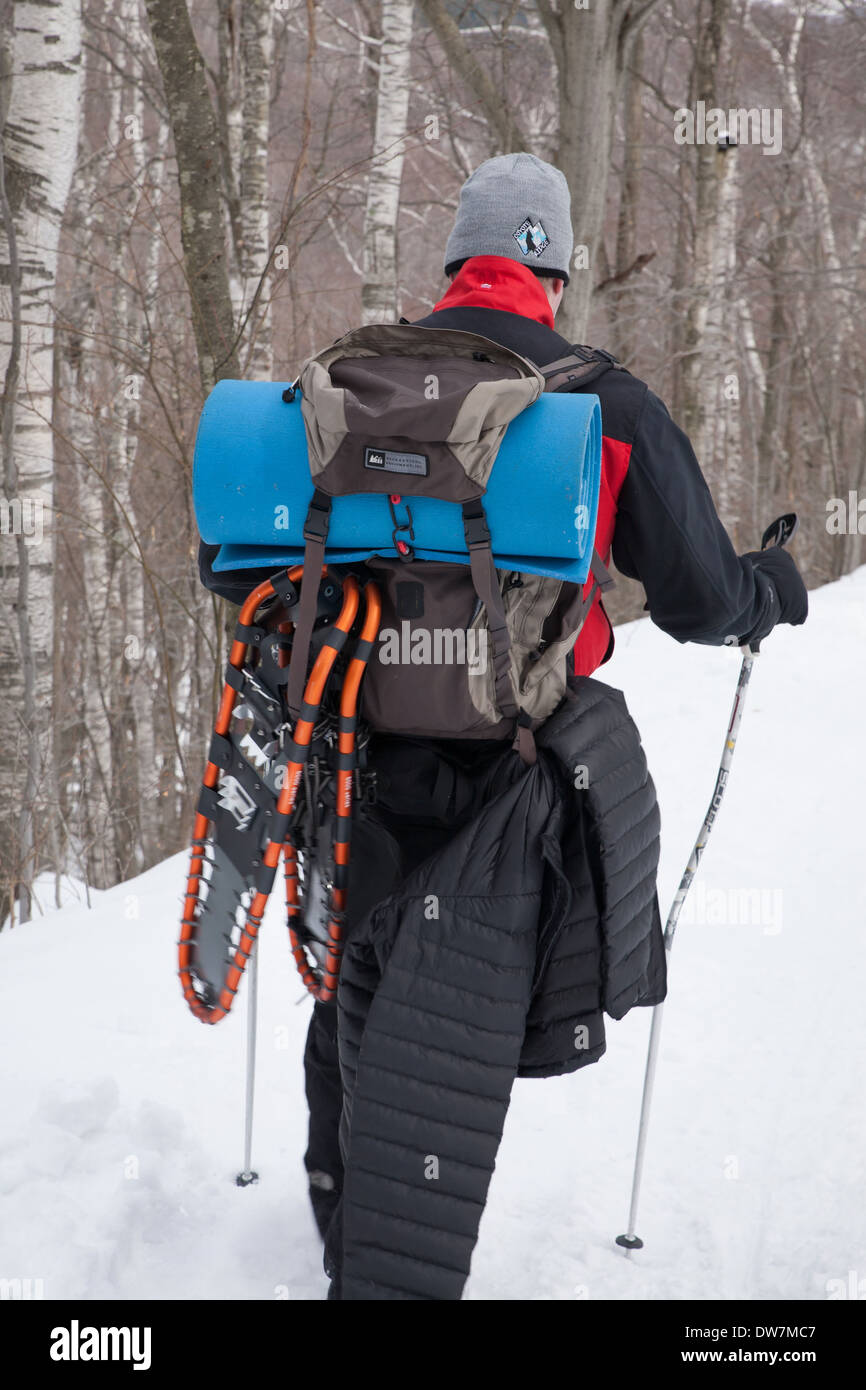 Winterwanderer geht auf einem schneebedeckten Weg am Mount Greylock, Adams, MA. Stockfoto