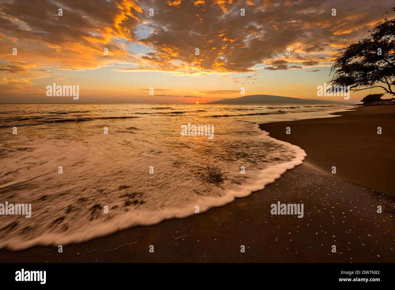 Spektakulären Strand Sonnenuntergang in der Stadt Lahaina auf der hawaiianischen Insel Maui. Stockfoto