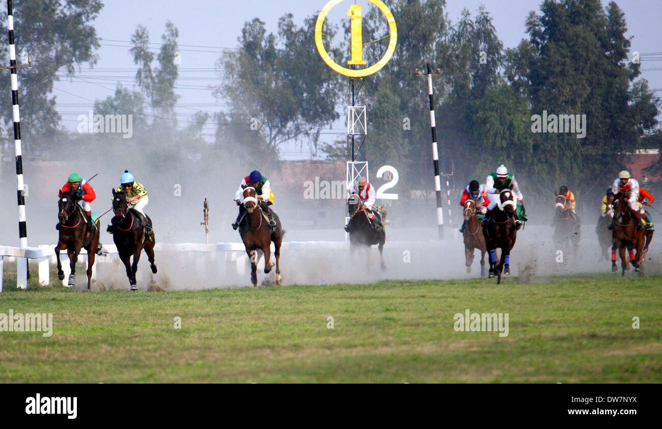 Lahore. 2. März 2014. Pakistanische Jockeys Reiten ihre Pferde während der jährlichen Derby Pferderennen in Lahore Race Club im östlichen Pakistan Lahore auf 2. März 2014. Bilal Ahmed auf Incredibill ersten Platz beim Rennen in Lahore Race Club Credit: LRC). (Jamil Ahmed/Xinhua/Alamy Live-Nachrichten Stockfoto