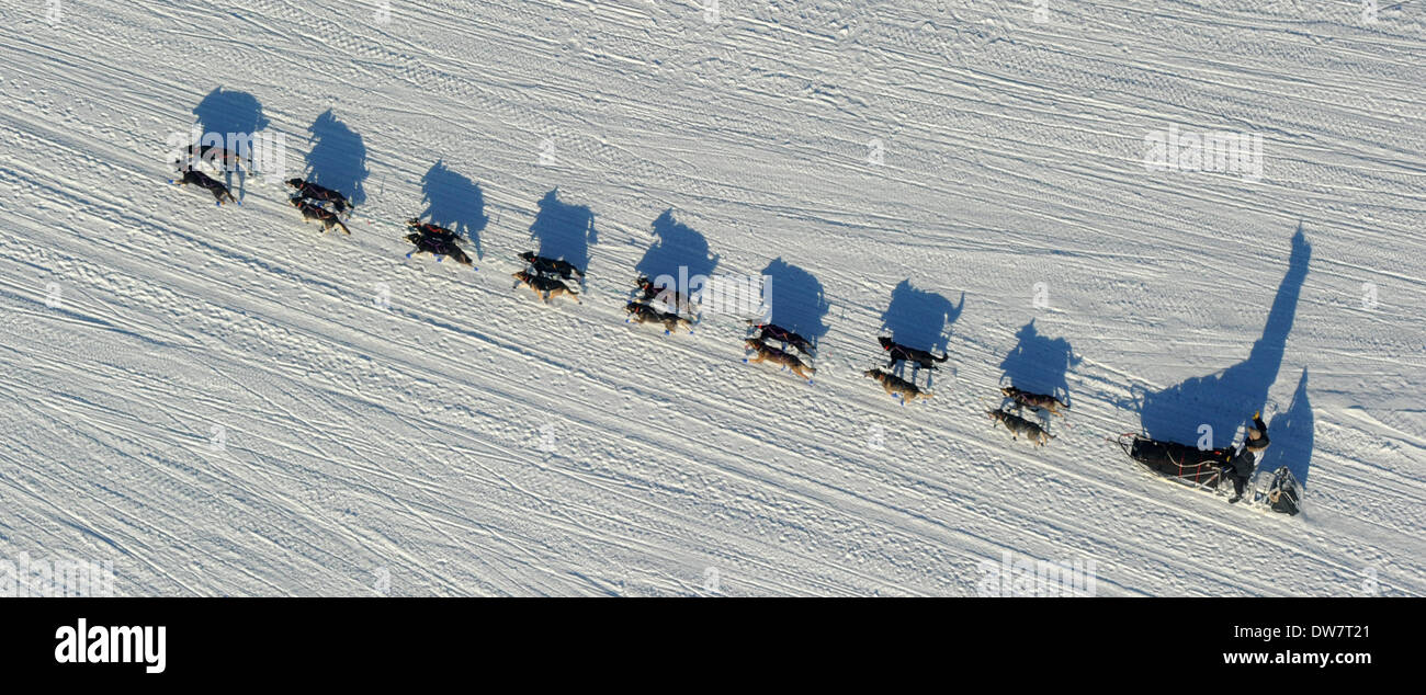 Willow, AK, USA. 2. März 2014. Nathan Schroeder fährt kurz nach dem Start von 2014 Iditarod Trail Sled Dog Race aus Weide, AK auf Sonntag, 2. März 2014 sein Hundeteam den Weg hinunter. 140302 Credit: Bob Hallinen/Anchorage Daily News/ZUMAPRESS.com/Alamy Live News Stockfoto