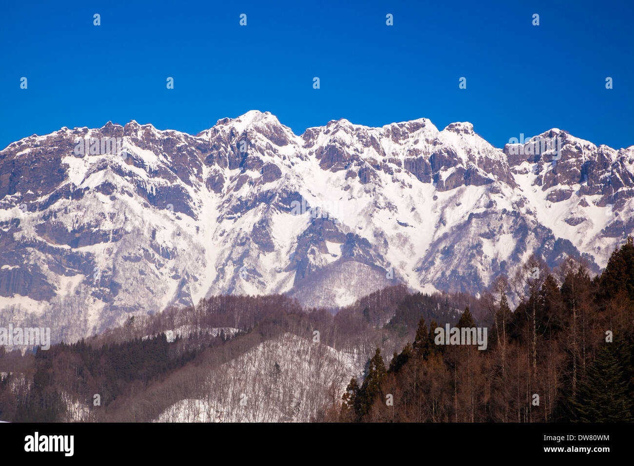 Mt. Togakushi im Winter, Nagano, Japan Stockfoto