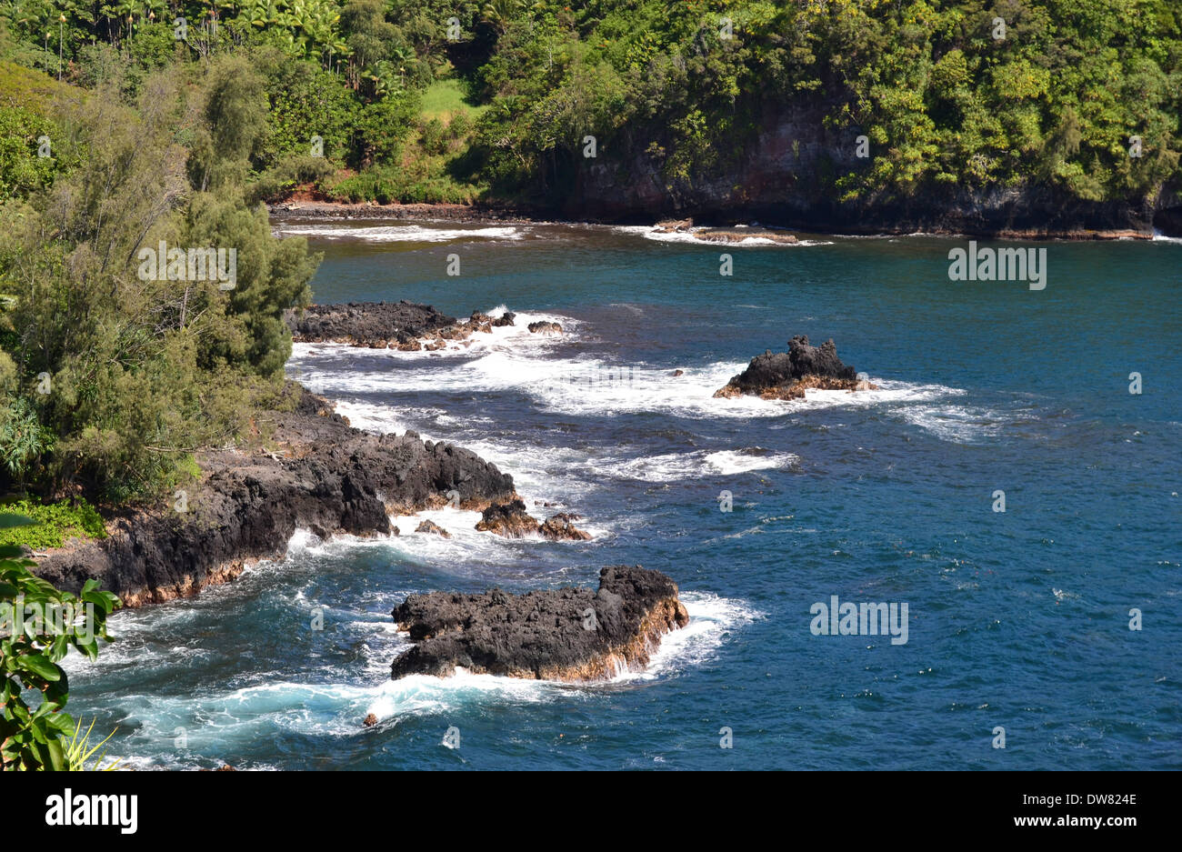 Onomea Bay, Hilo, Big Island, Hawaii, USA Stockfoto