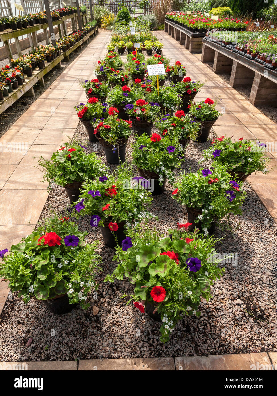 Gartencenter Blumen Stockfotos und bilder Kaufen Alamy