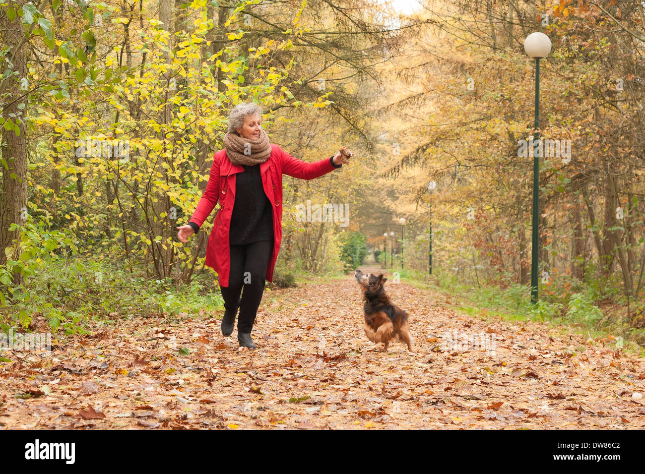 Mittlere gealterte Frau in den herbstlichen Wald mit ihrem Hund Stockfoto