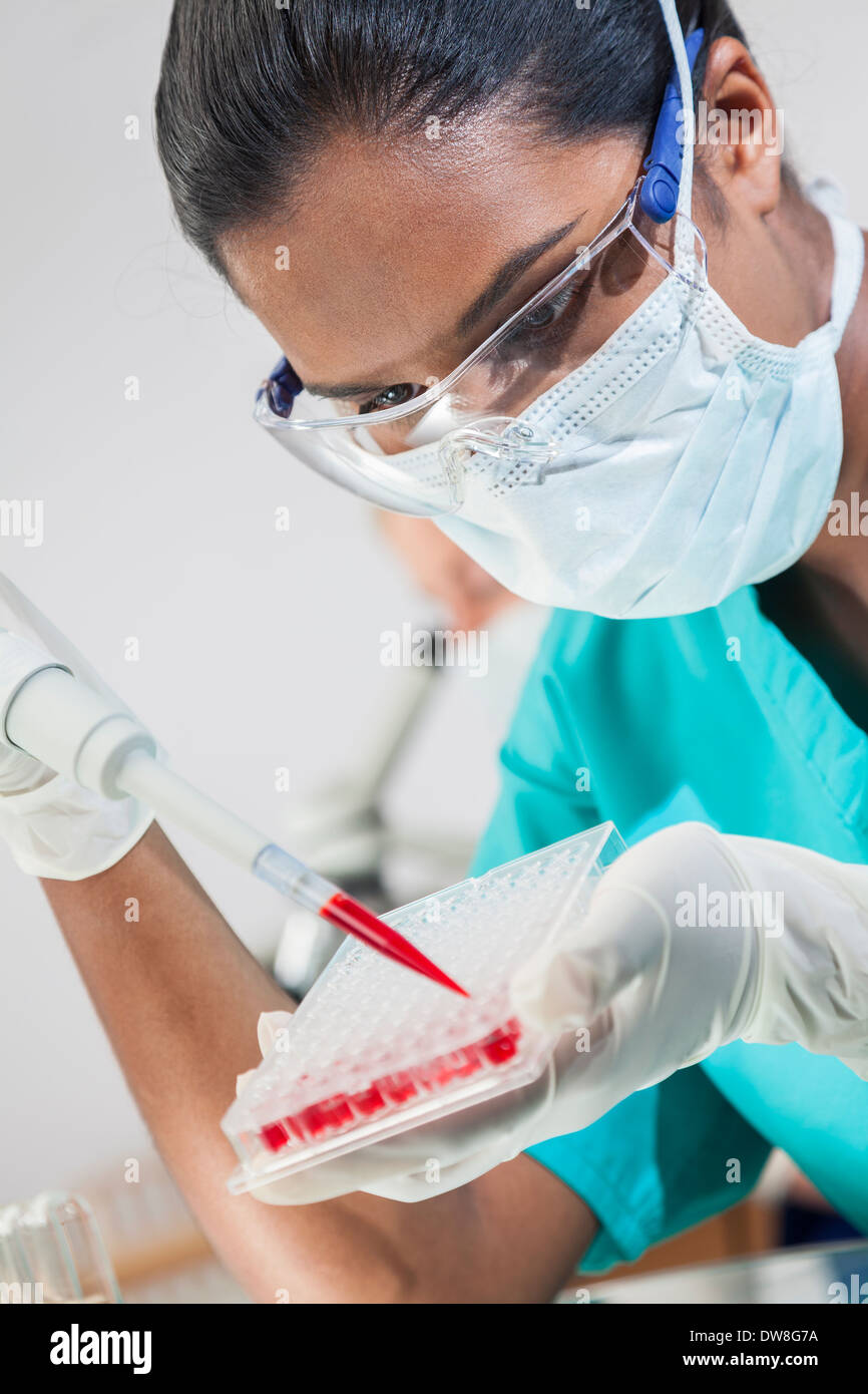 Asiatische medizinische oder wissenschaftliche Forscherin oder Arzt über eine Pipette und Probe Fach Blutprobe im Labor testen Stockfoto