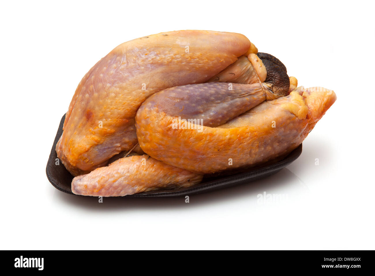 Perlhühner ungekocht isoliert auf einem weißen Studio-Hintergrund. Stockfoto