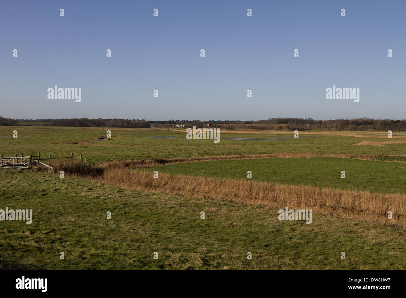Blick nach Westen von den Deich in der Nähe von Orford über Sudbourne Marshes - Suffolk. Stockfoto