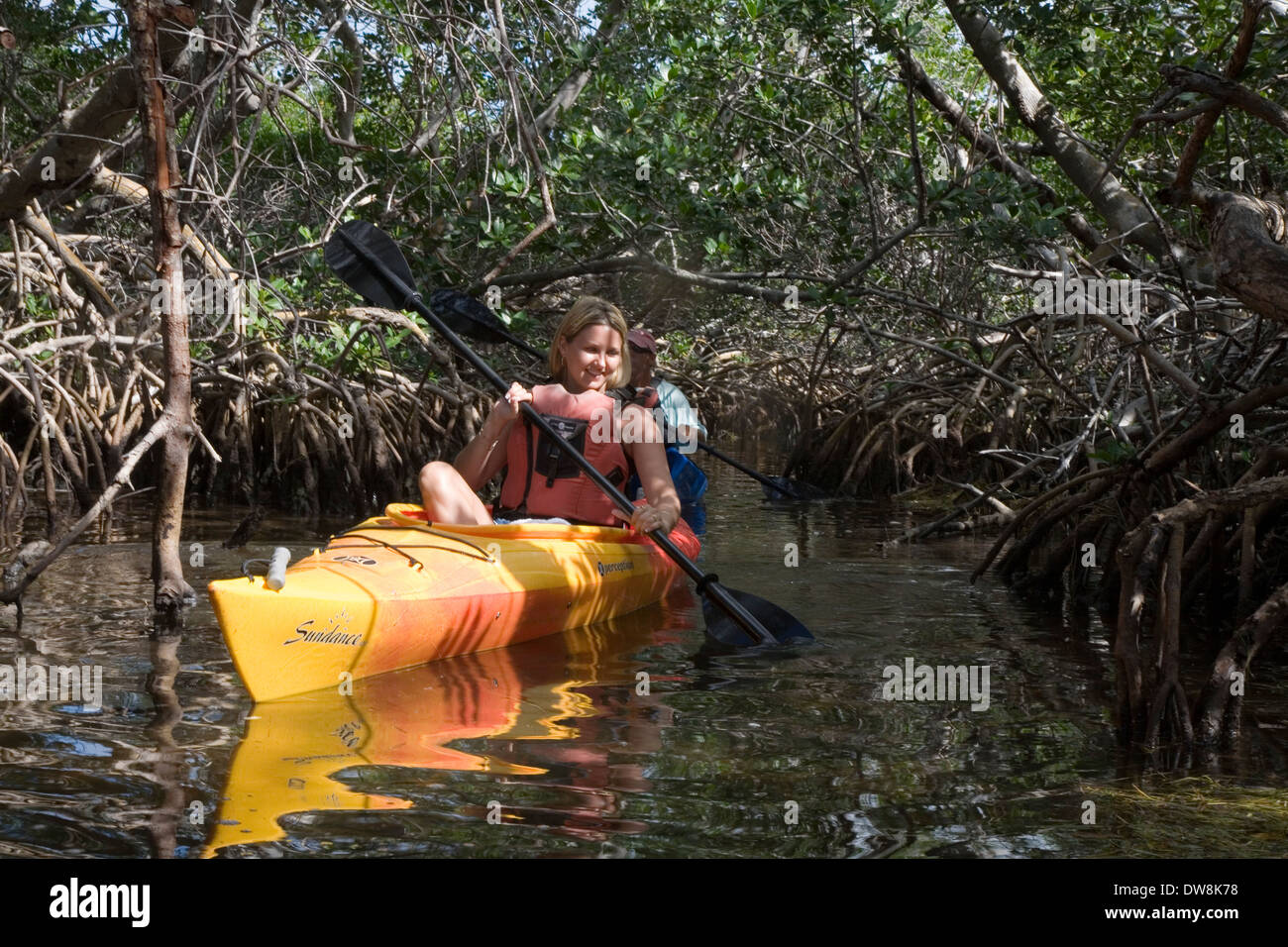 Mit Mangroven geschnürt, sind die Hinterland Buchten der unteren Florida Keys ideal für Kajak Ausflüge, No Name Key, FL, USA Stockfoto