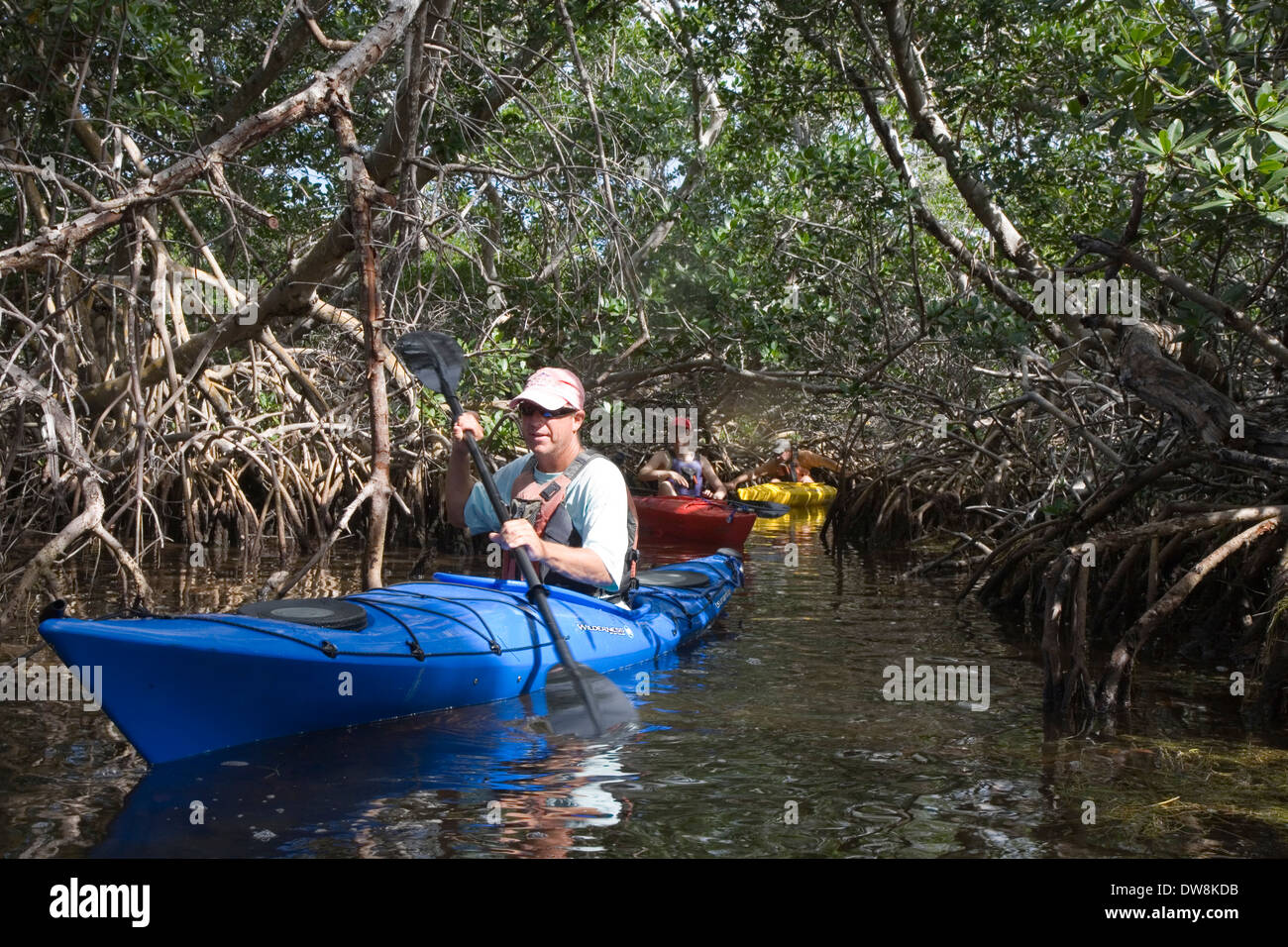 Mit Mangroven geschnürt, sind die Hinterland Buchten der unteren Florida Keys ideal für Kajak Ausflüge, No Name Key, FL, USA Stockfoto