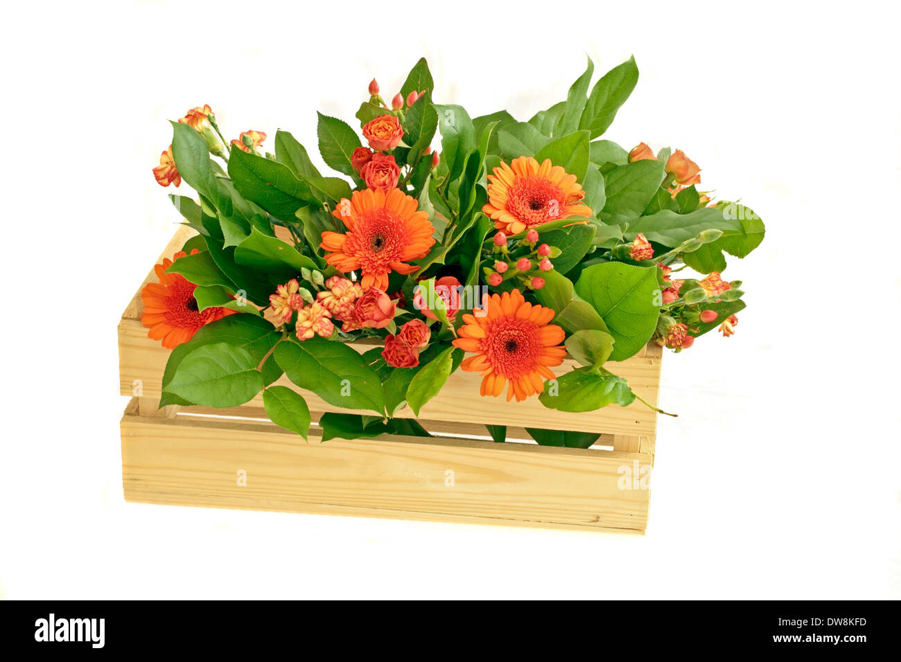 Orange Gerbera Blumen in einem hölzernen Korb Stockfoto