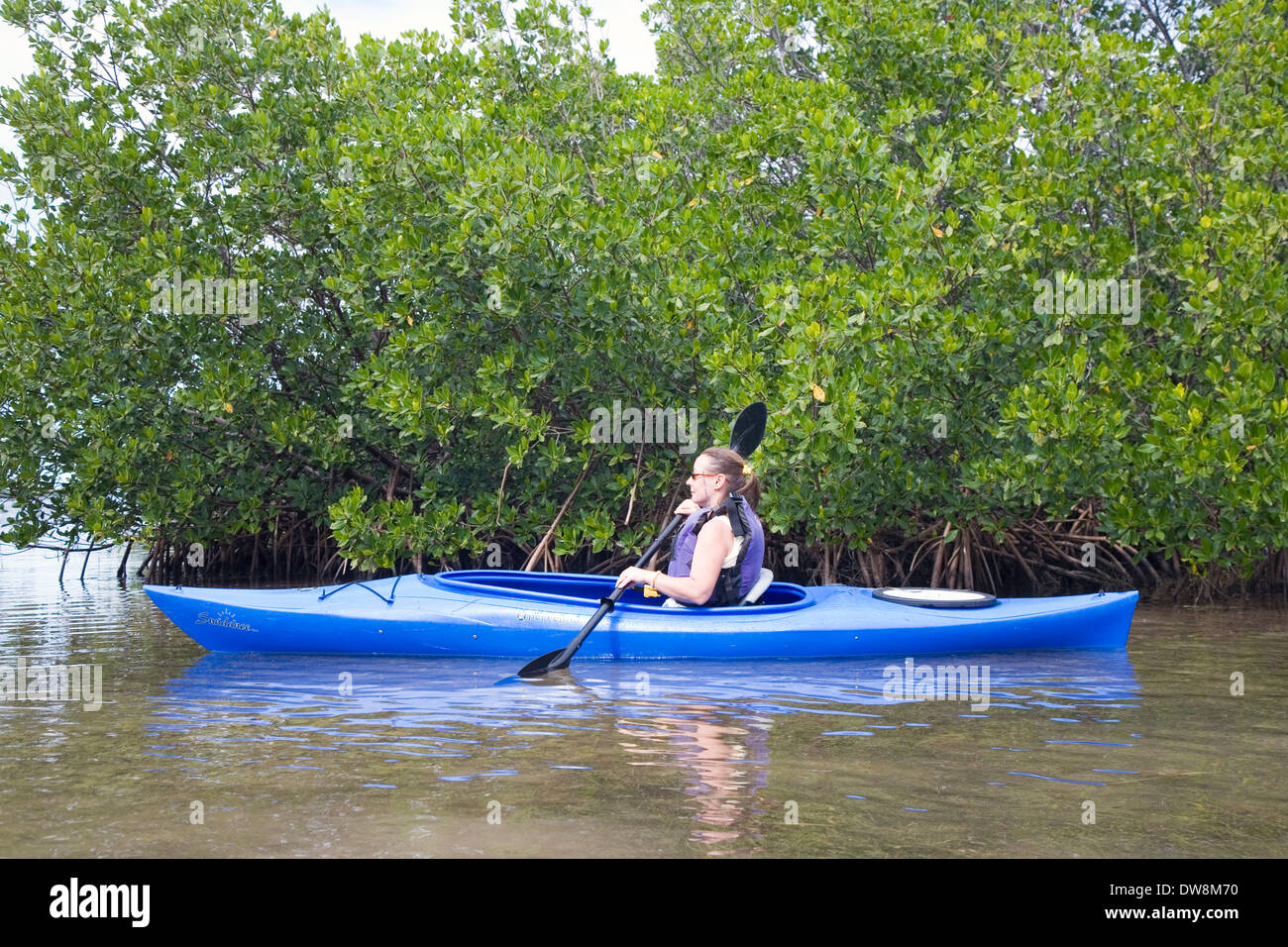 Mit Mangroven geschnürt, sind die Hinterland Buchten der unteren Florida Keys ideal für Kajak Ausflüge, No Name Key, FL, USA Stockfoto