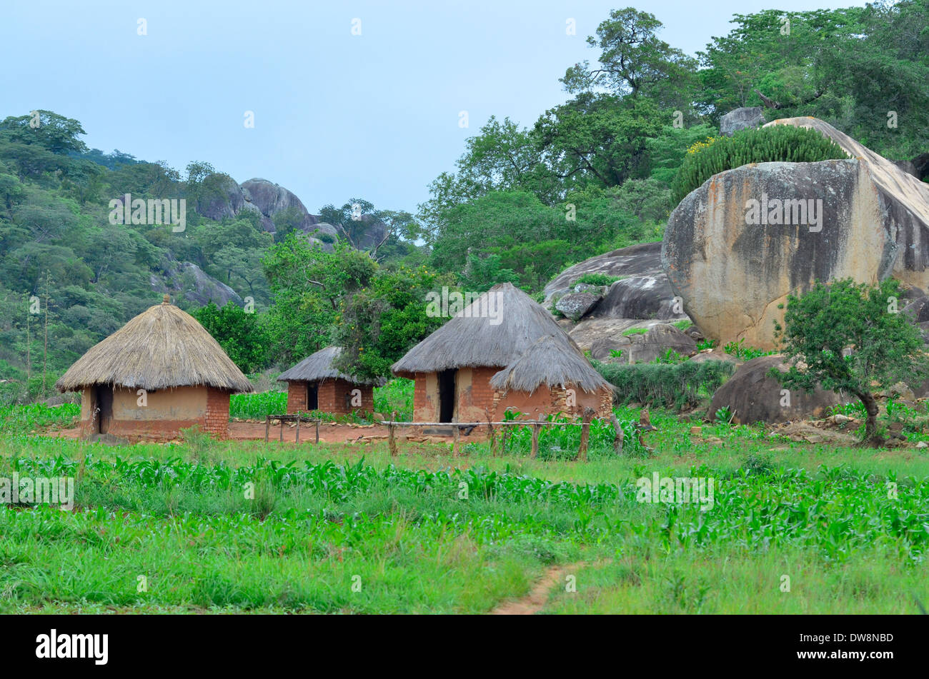 Eastern Highlands von Zimbabwe im Sommer mit hellen grünen Farben und gebirgige Lebensraum. Maisfeldern und urige Hütten. Stockfoto