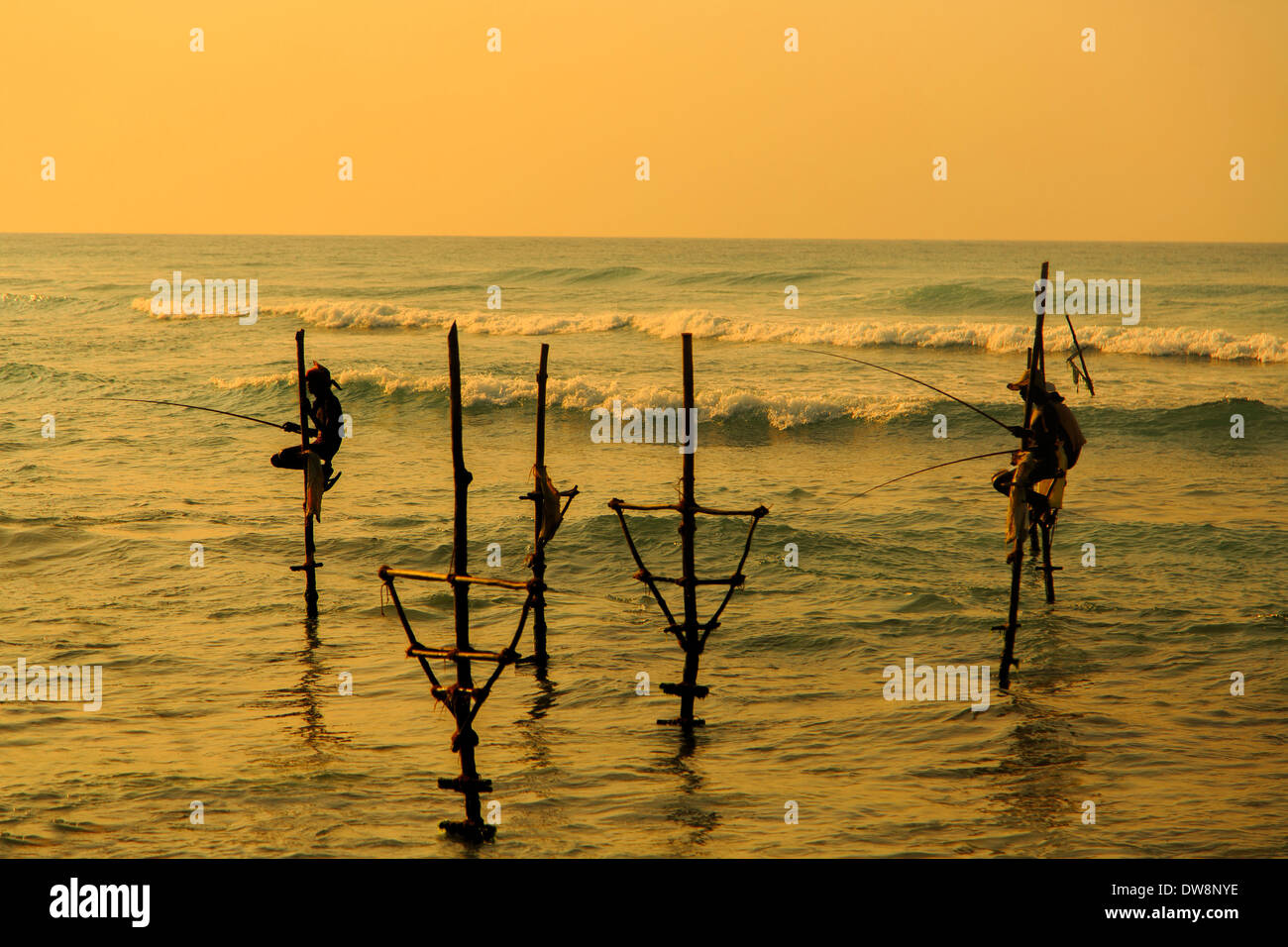Unawatuna, Sri Lanka - Januar 25, 2014: Unbekannter stelze Fischer in Unawatuna, Sri Lanka. stelze Angeln besondere Viertel und gibt etwa 500 Fischerfamilien in der Küstenregion um Galle. Stockfoto