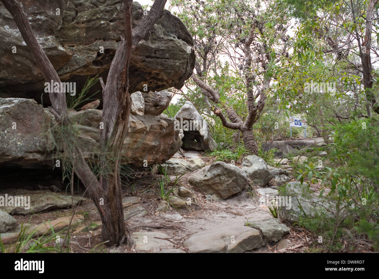 Sydney Harbour National Park, Manly, Australien Stockfoto