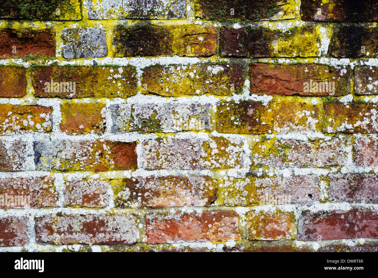 Detail der alten roten Backsteinmauer Stockfoto