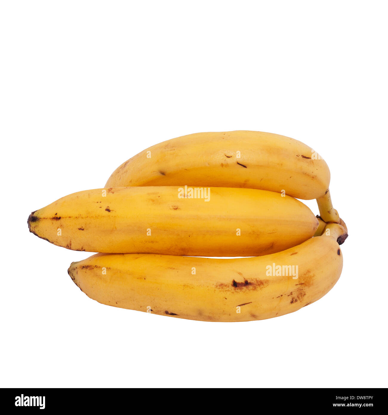 Eine Reihe von reifen Bananen auf weißem Hintergrund Stockfoto