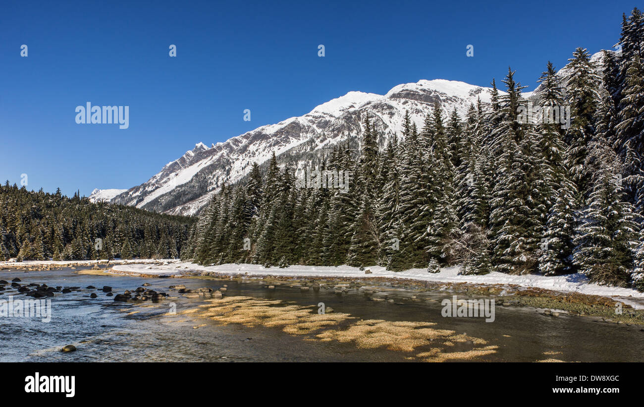 Chilkoot River in der Nähe von Haines Alaska im Winter an einem sonnigen Tag. Stockfoto