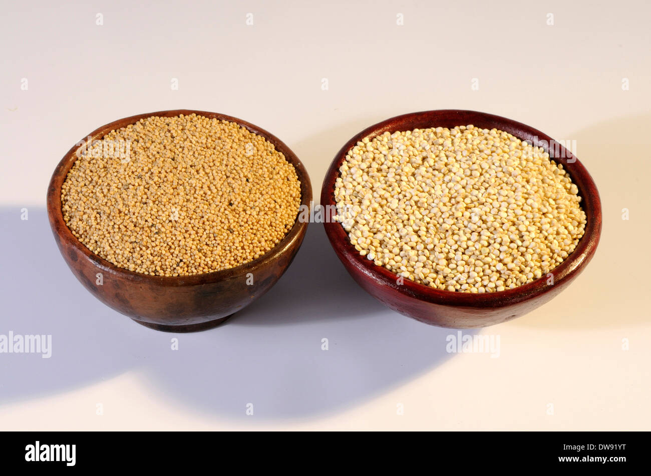 Quinoa, Amaranth Stockfoto