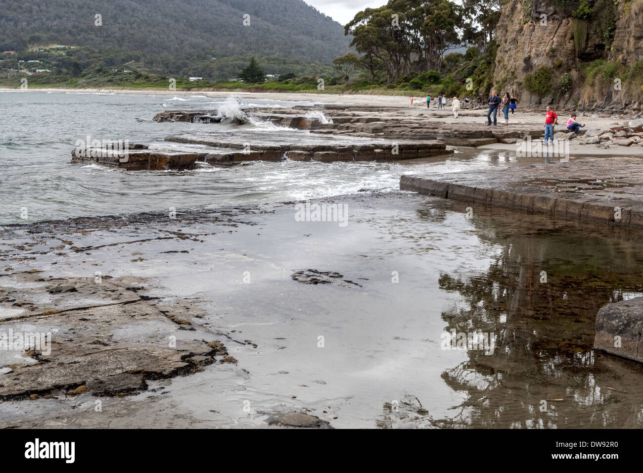 Gesprungene Pflaster - gesprungene Sandsteinmarine Plattform in der Nähe von Eaglehawk Neck, Port Arthur, Tasmanien, Australien Stockfoto
