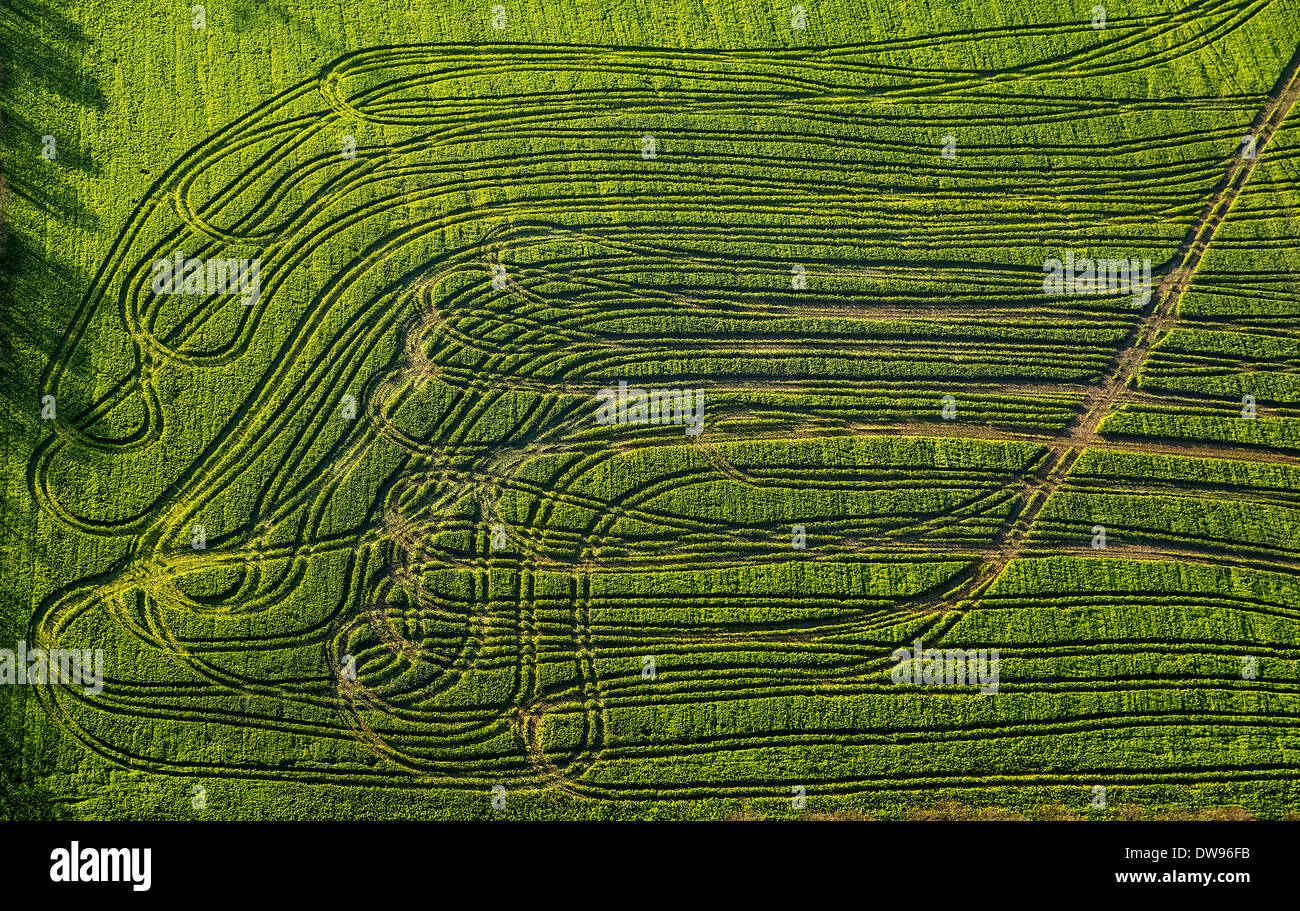 Luftaufnahme, verfolgt Traktor auf der grünen Wiese, North Rhine-Westphalia, Deutschland Stockfoto