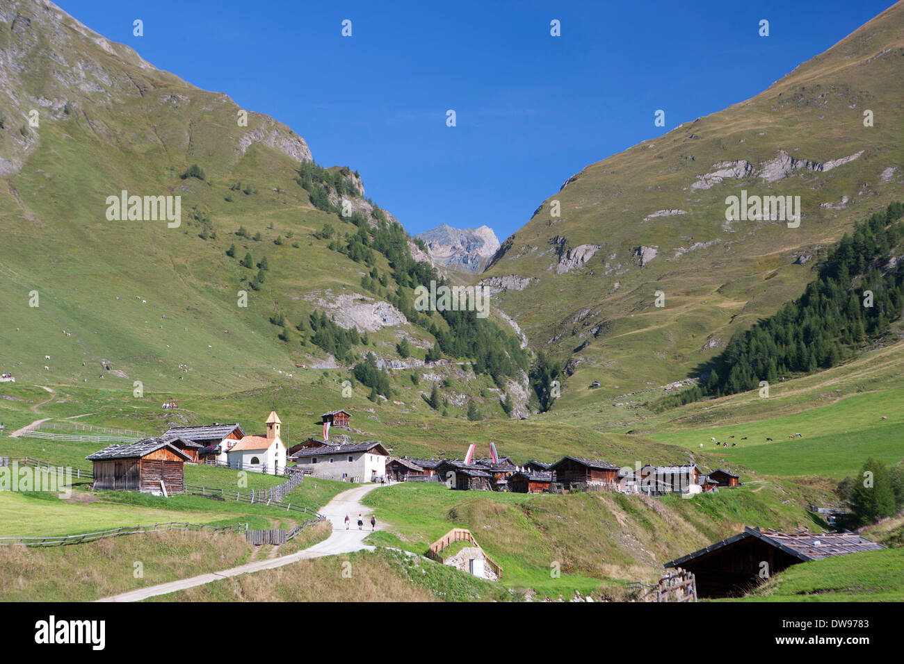 Fane Alm, Alp Dorf, Valser Tal, Südtirol, Italien Stockfoto