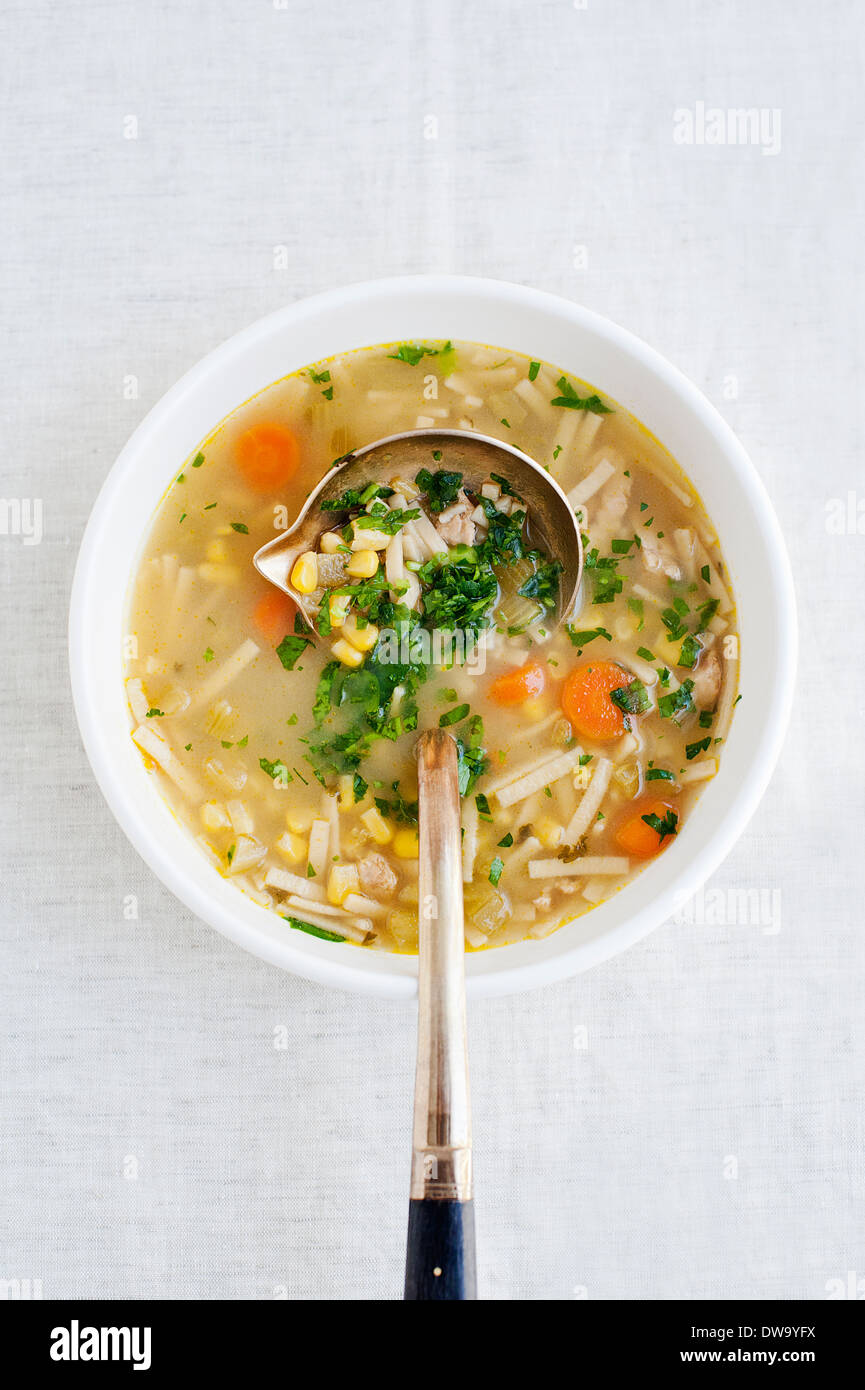 Schüssel mit Suppe und Kelle Stockfoto