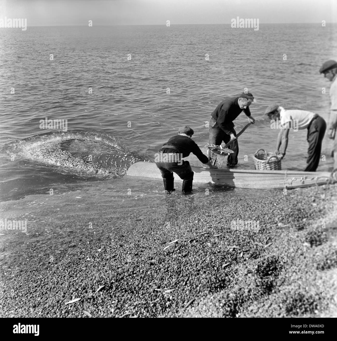 Seine Netze Besatzungen Angeln für Makrele und Sprotten vom Strand am West Bay und entlang der Chesil Beach um 1950 Stockfoto