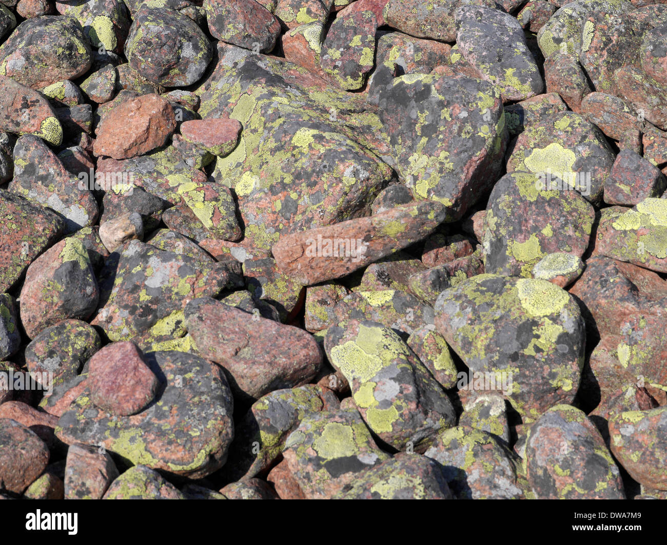 Steinfeld in der Nähe von Höga Kusten (hohe Küste), Västernorrlands Län, Bottnischen Meerbusen, Norrfällsviken, Schweden Stockfoto