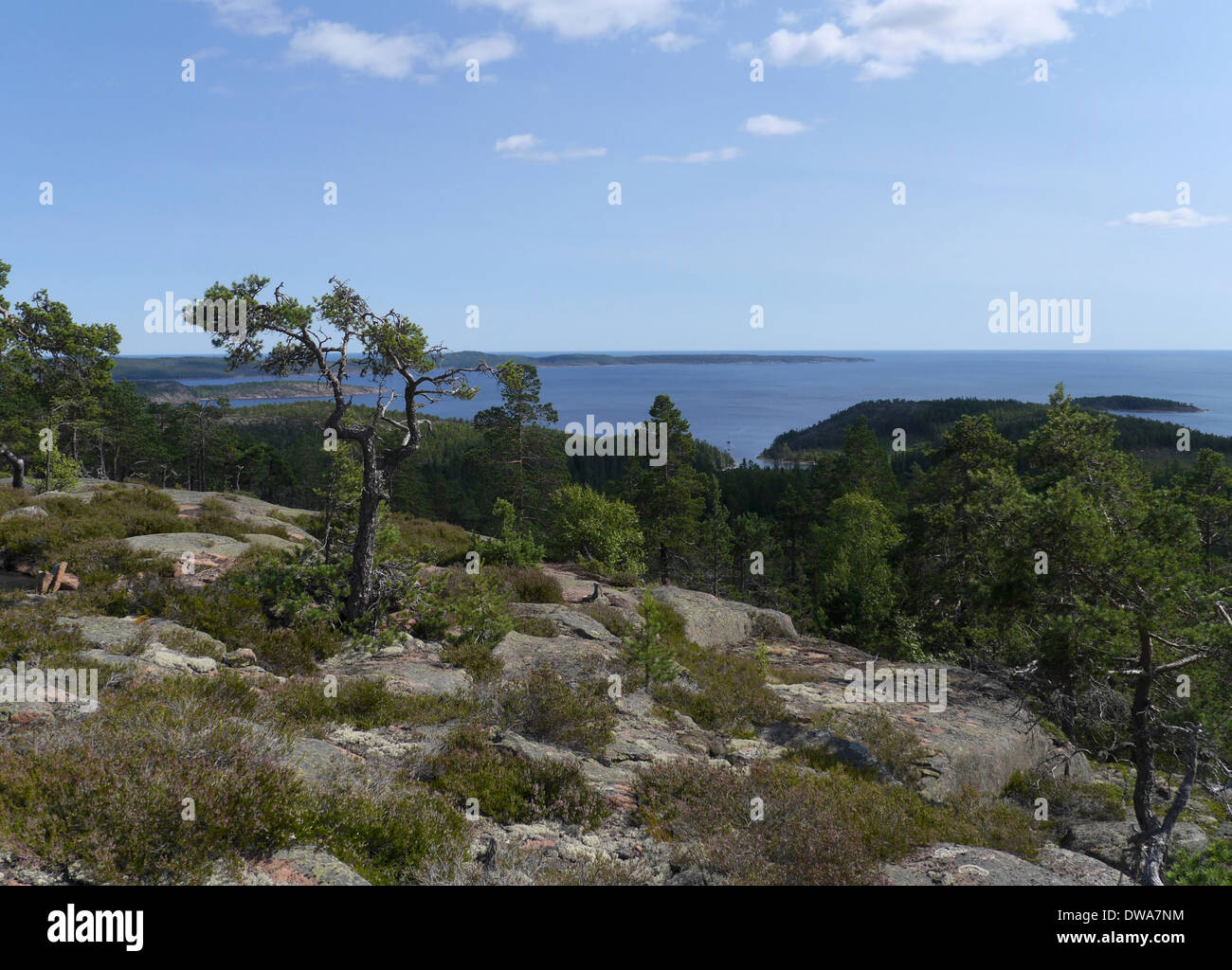 Höga Kusten (hohe Küste), Västernorrlands Län, Bottnischen Meerbusen, Mjältön, Schweden Stockfoto