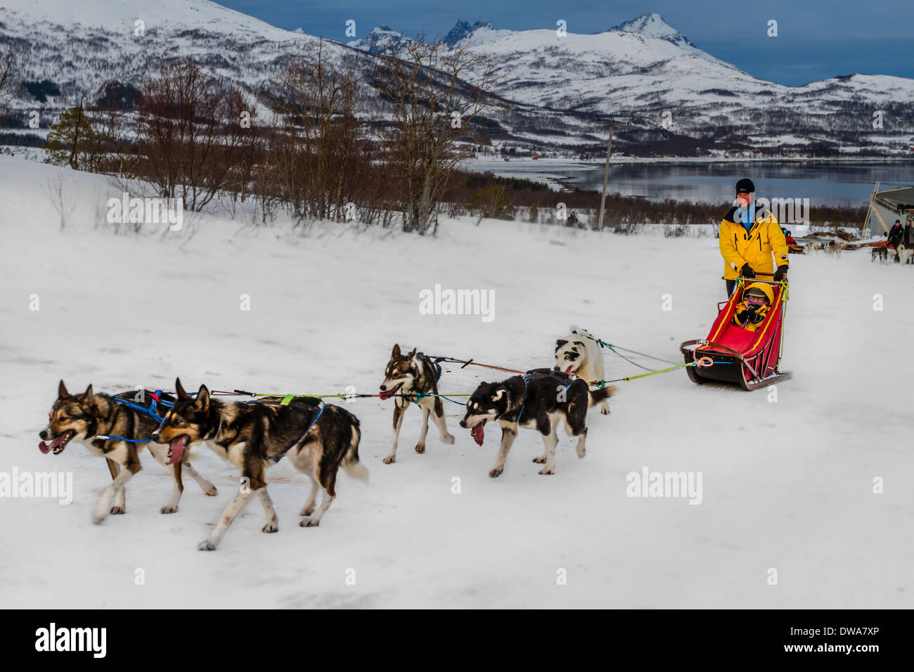 Paar versucht, Hundeschlitten, Tromsø, Norwegen Stockfoto